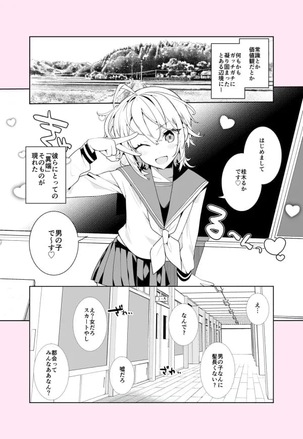 Seiheki wo Kuruwaseru, Otokonoko Musume Tenkousei ga Arawareta! Manga Cover
